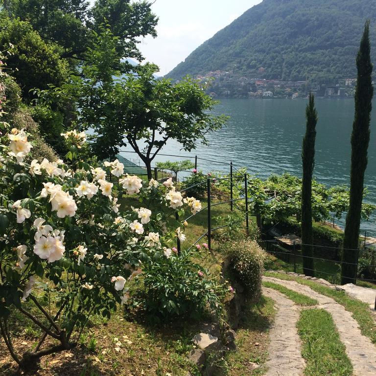 Casa Vacanza Castagna Несо Стая снимка