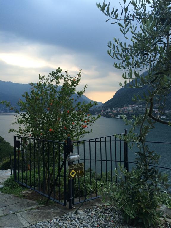 Casa Vacanza Castagna Несо Стая снимка