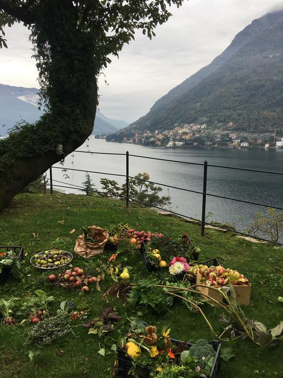 Casa Vacanza Castagna Несо Екстериор снимка