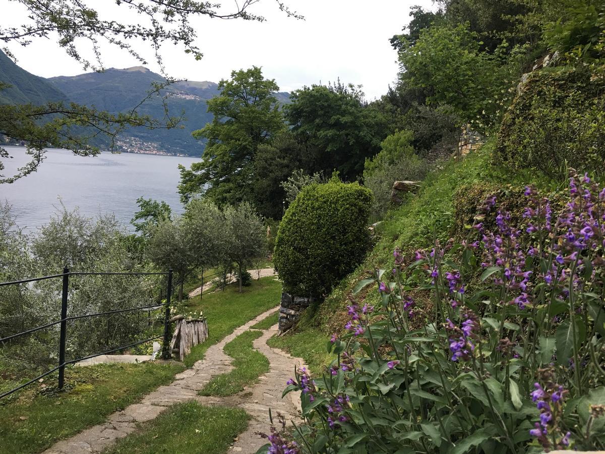 Casa Vacanza Castagna Несо Екстериор снимка